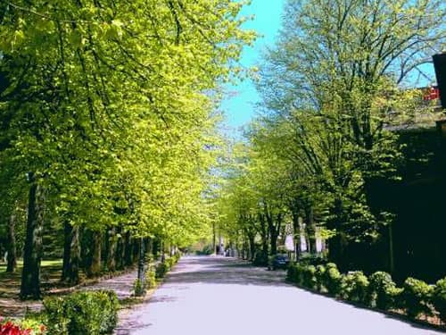 Pineta e giardino termale Montecatini Terme
